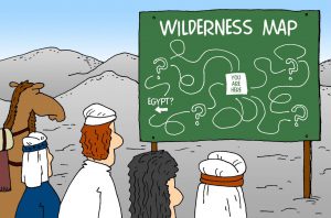 Wilderness-Wandering1