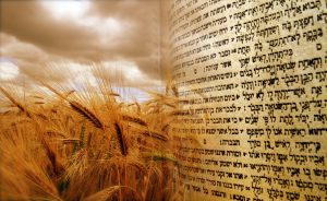 2017 Shavuot Special!